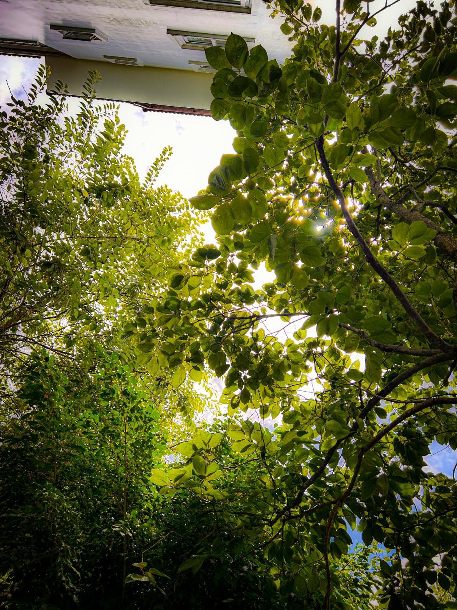 Hong Mon Villa Đà Lạt Exterior foto